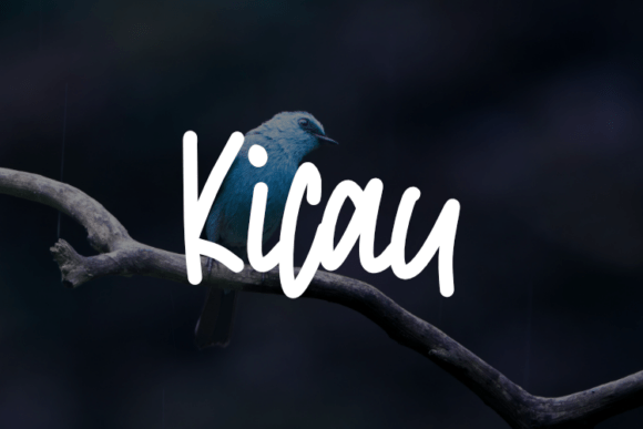 Kicau: The Elegant Script Font for Small Business Branding