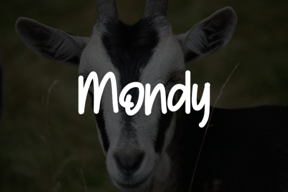 Mondy: A Modern Script Typeface for Digital Design